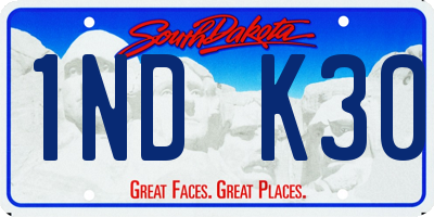 SD license plate 1NDK30