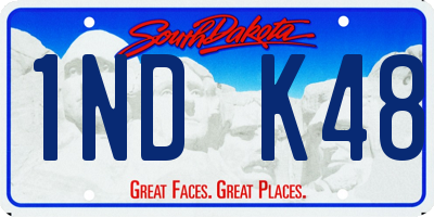 SD license plate 1NDK48