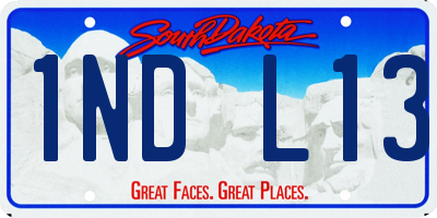 SD license plate 1NDL13