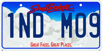 SD license plate 1NDM09
