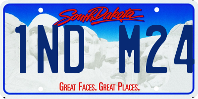 SD license plate 1NDM24