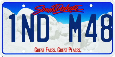 SD license plate 1NDM48