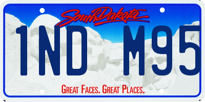 SD license plate 1NDM95