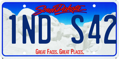SD license plate 1NDS42