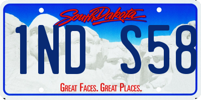 SD license plate 1NDS58
