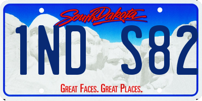 SD license plate 1NDS82