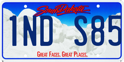 SD license plate 1NDS85