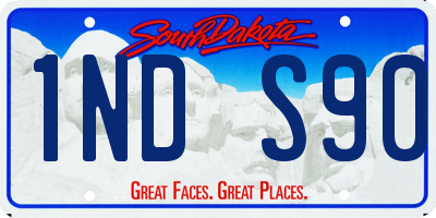 SD license plate 1NDS90