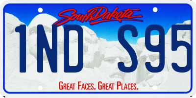 SD license plate 1NDS95