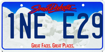 SD license plate 1NEE29