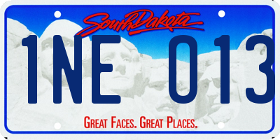 SD license plate 1NEO13