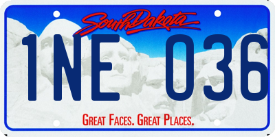 SD license plate 1NEO36