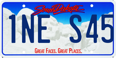 SD license plate 1NES45