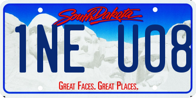 SD license plate 1NEU08