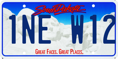 SD license plate 1NEW12