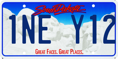SD license plate 1NEY12