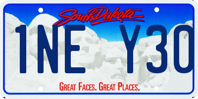 SD license plate 1NEY30
