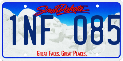 SD license plate 1NFO85