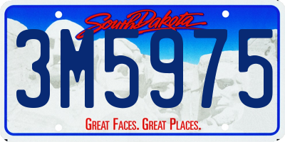 SD license plate 3M5975