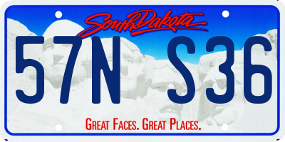 SD license plate 57NS36