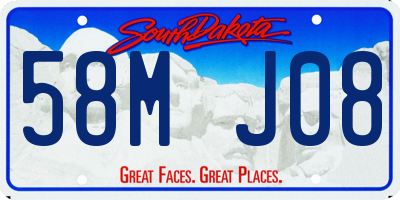 SD license plate 58MJ08