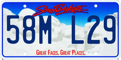 SD license plate 58ML29