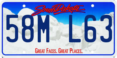 SD license plate 58ML63