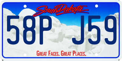 SD license plate 58PJ59