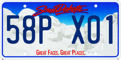 SD license plate 58PX01