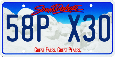 SD license plate 58PX30