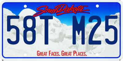 SD license plate 58TM25