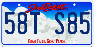SD license plate 58TS85