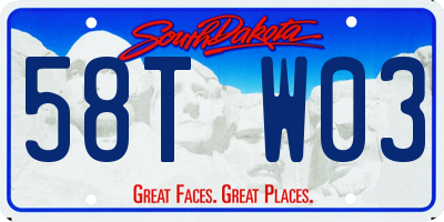 SD license plate 58TW03