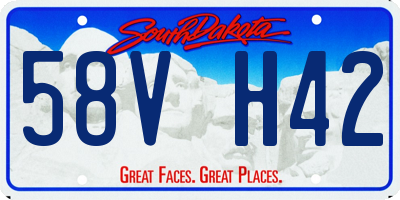 SD license plate 58VH42
