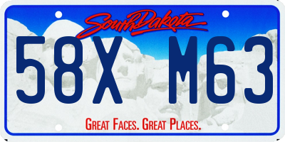 SD license plate 58XM63