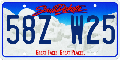 SD license plate 58ZW25