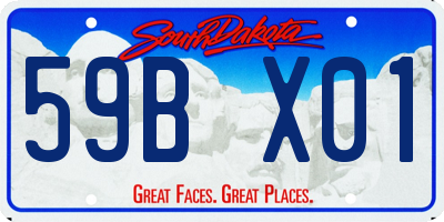 SD license plate 59BX01