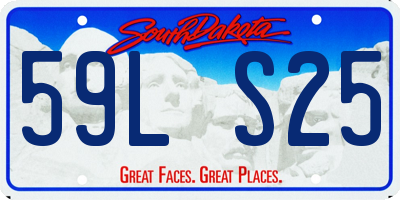 SD license plate 59LS25