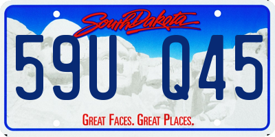 SD license plate 59UQ45