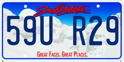 SD license plate 59UR29
