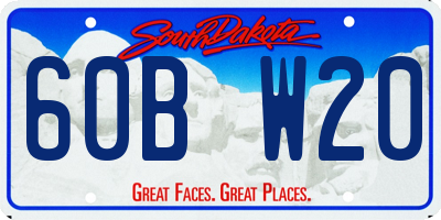 SD license plate 60BW20