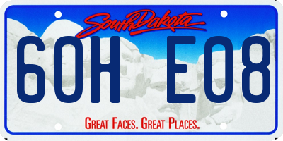 SD license plate 60HE08