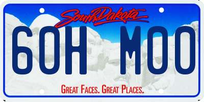SD license plate 60HM00