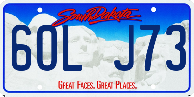 SD license plate 60LJ73