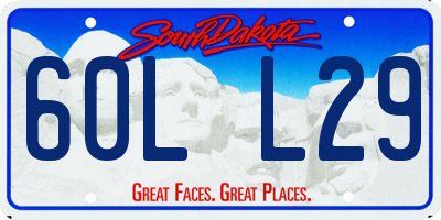 SD license plate 60LL29