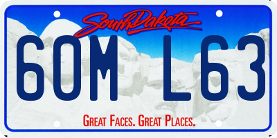SD license plate 60ML63