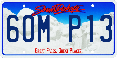 SD license plate 60MP13