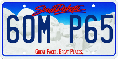SD license plate 60MP65