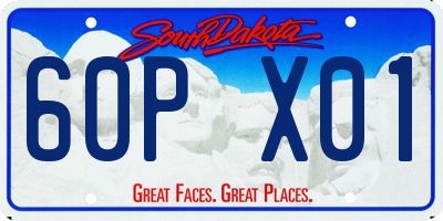 SD license plate 60PX01