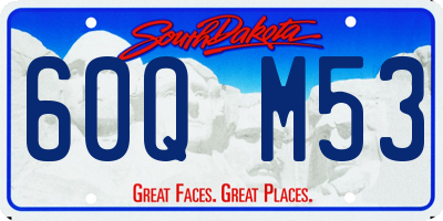 SD license plate 60QM53